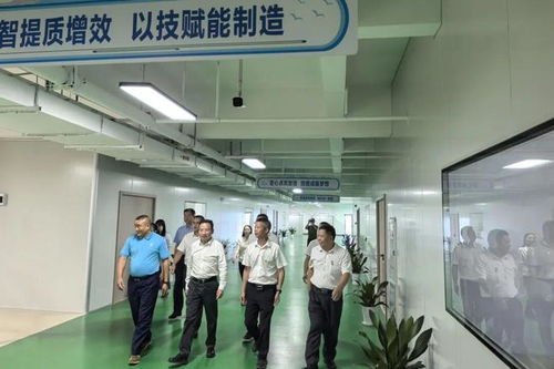 產教融合驅動制造業高質量發展 智能制造產業學院電子信息‘廠中校’正式揭牌暨教育咨詢服務啟動